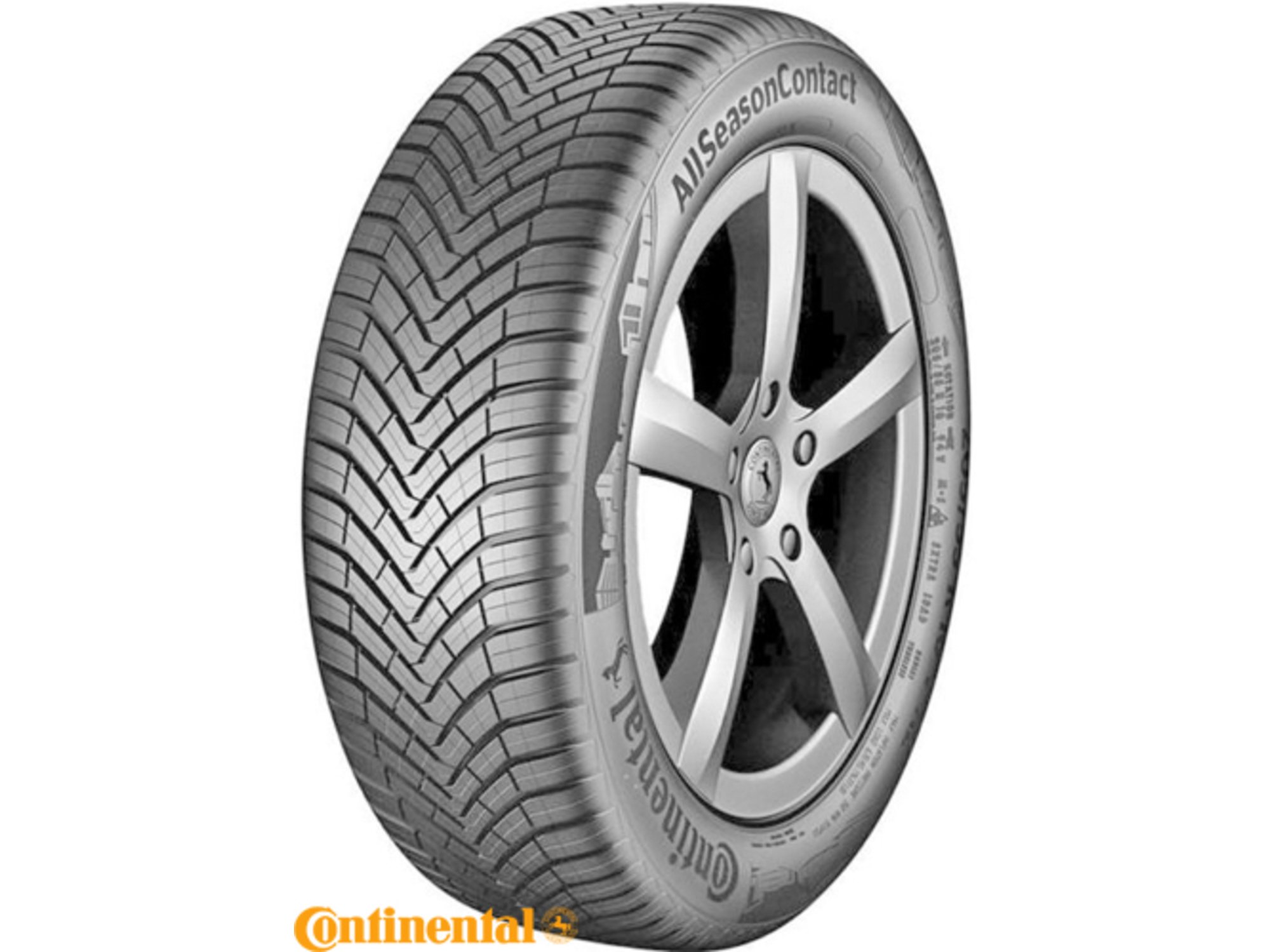 CONTINENTAL celoletne pnevmatike AllSeasonContact 225/55R16 99V XL