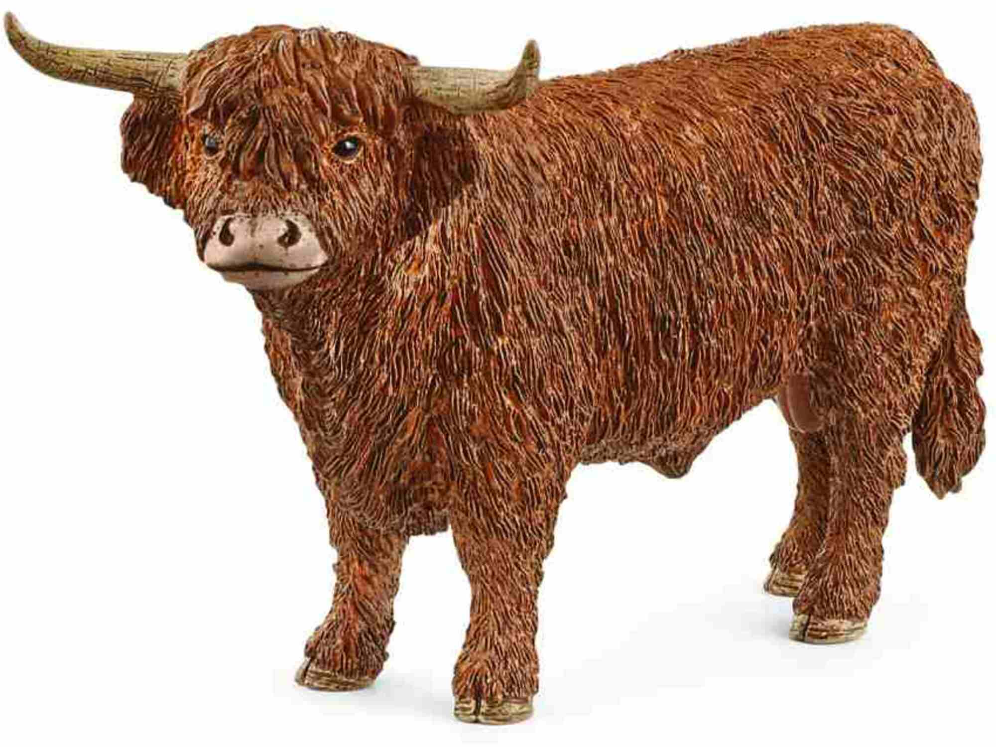 SCHLEICH figura domače živali Škotsko govedo 13919