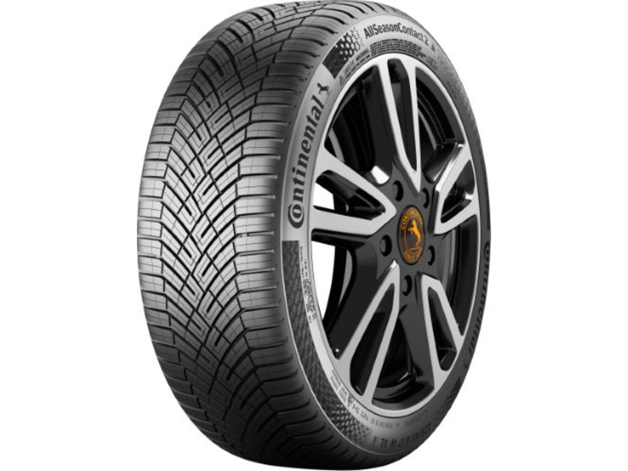 CONTINENTAL celoletne pnevmatike AllSeasonContact 2 195/55R20 95H XL EVc